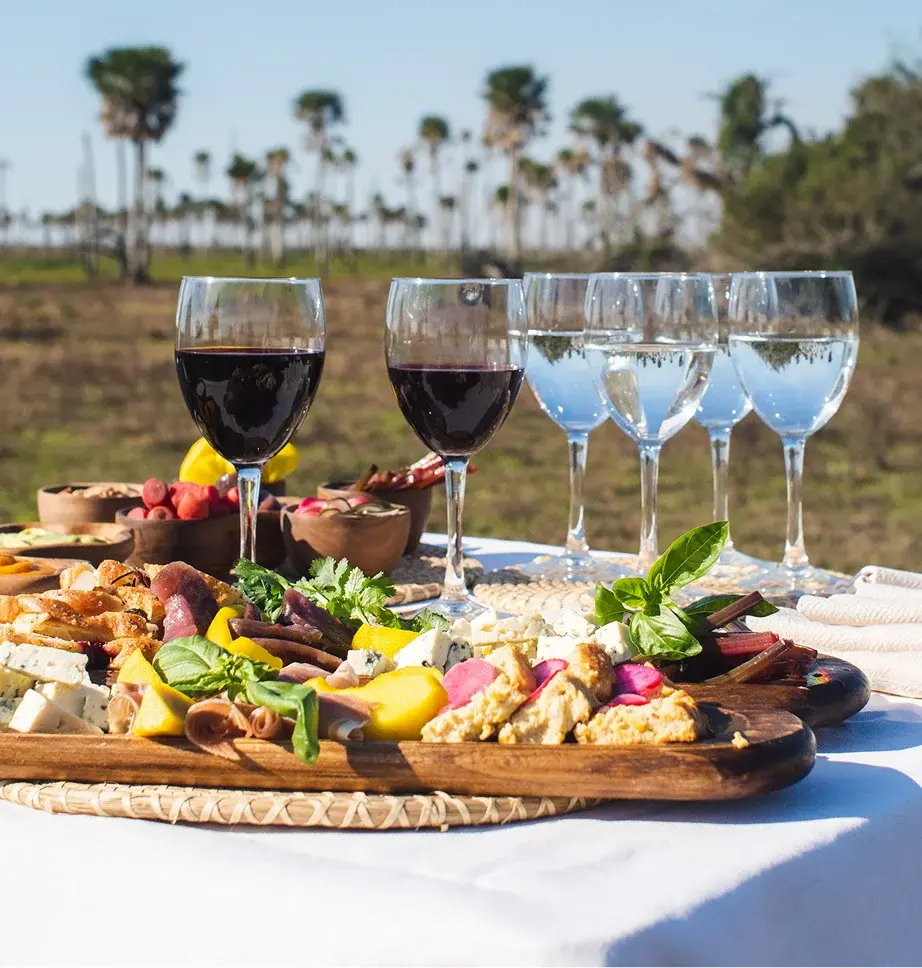 Picnic with wine glasses