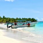 Vibrant scene of boats docked on a sunny beach in the Dominican Republic, surrounded by clear turquoise water and palm trees.